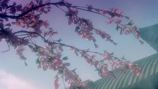 青蛇