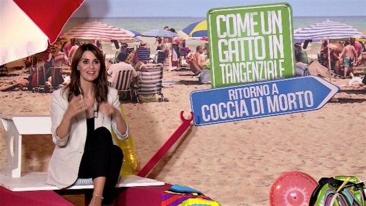 Come un gatto in tangenziale