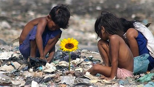 Ilha das Flores