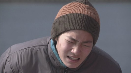 ソドムの林檎