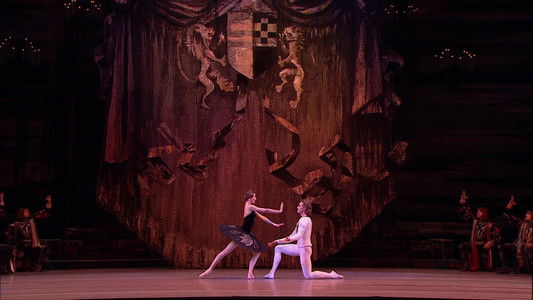 Tchaikovsky - Swan Lake (The Bolshoi Ballet Collection)