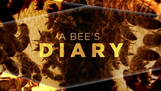 A Bee's Diary
