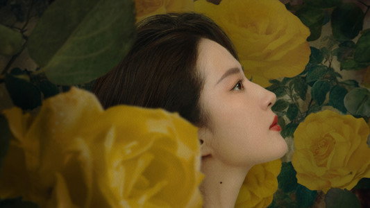 玫瑰的故事