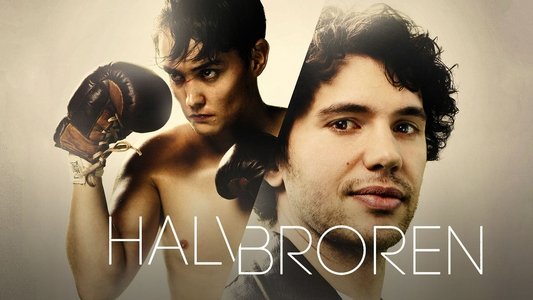 Halvbroren
