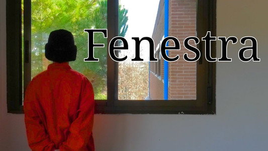 Fenestra