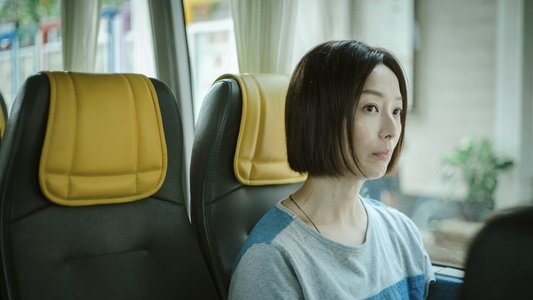 流水落花
