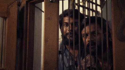 டோரதி