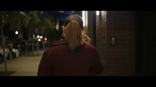 Iron Gun: Final Vendetta