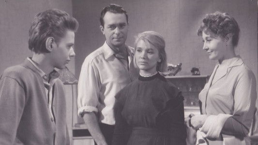 Дикая собака Динго