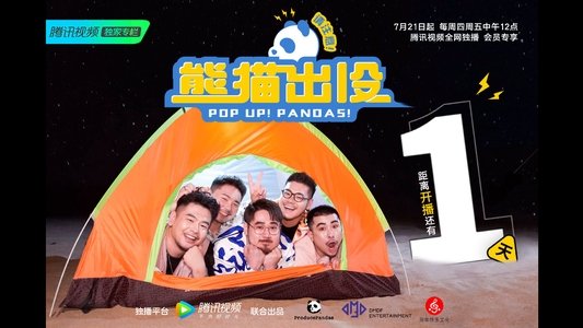 熊猫出没请注意