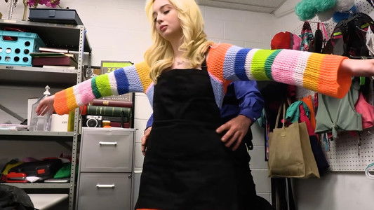 ShopLyfter 22