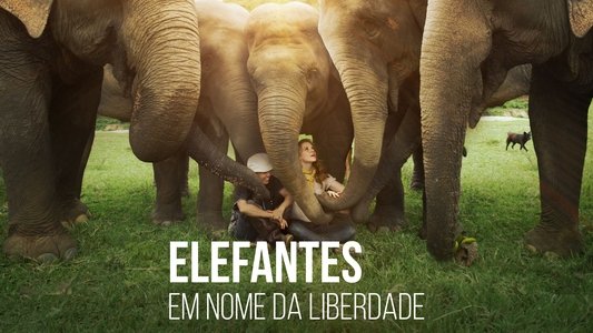 Love & Bananas: An Elephant Story