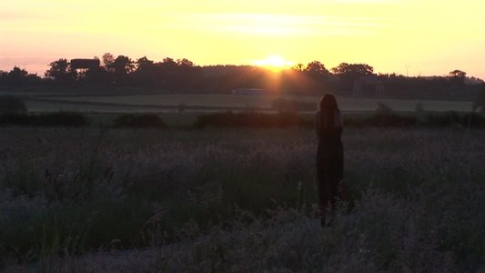 Black Beauty 1: Escape to Eden