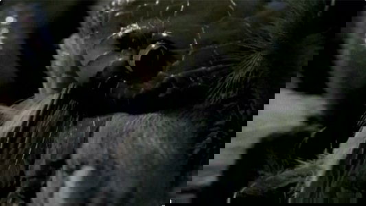 Dragons Alive