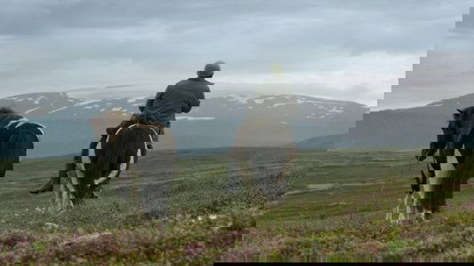 Hross í oss