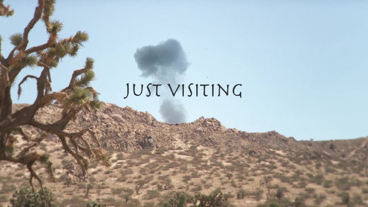 Just Visiting