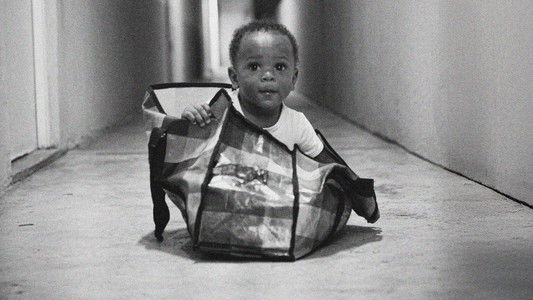 Zion, l'aventure du film