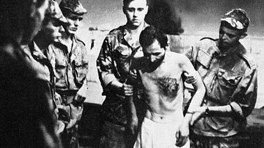 François Mitterrand et la guerre d'Algérie