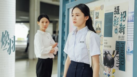 焕羽