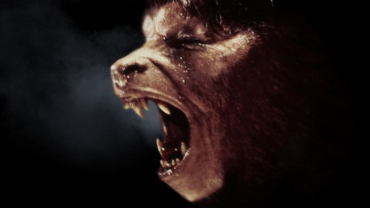 An American Werewolf in London