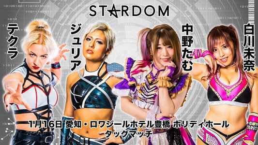 スターダム豊橋大会