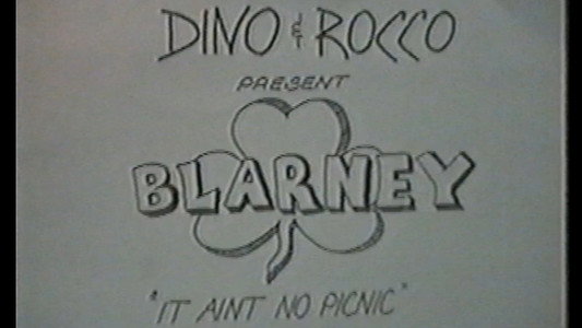 Blarney - It Ain't No Picnic