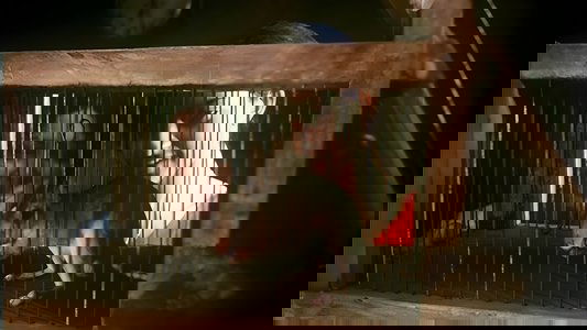 എലിപ്പത്തായം