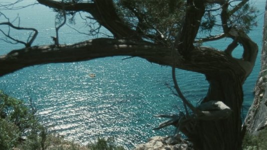 Travolti da un insolito destino nell'azzurro mare d'agosto
