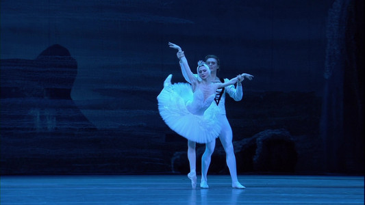 Tchaikovsky - Swan Lake (The Bolshoi Ballet Collection)