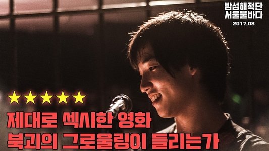 밤섬해적단 서울불바다