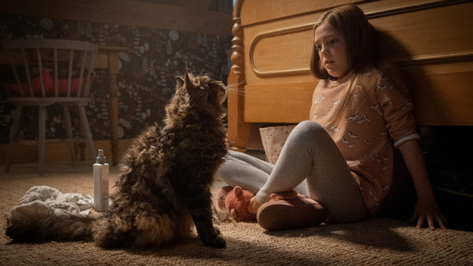 Pet Sematary