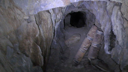 The Wilderness Tapes: Volume One