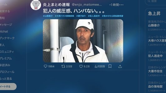 俺ではない炎上