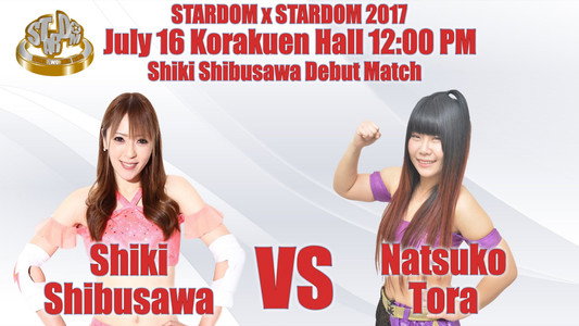 STARDOM X STARDOM2017