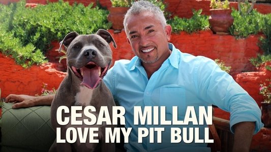 Cesar Millan: Love My Pit Bull