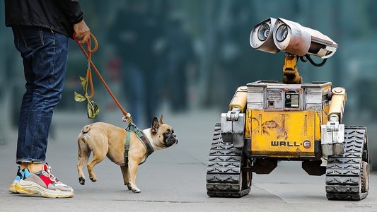 Pixar in Real Life
