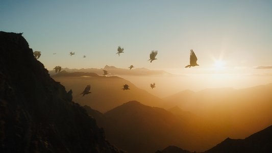 The Hobbit: An Unexpected Journey