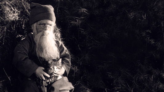 Tomten: En vintersaga