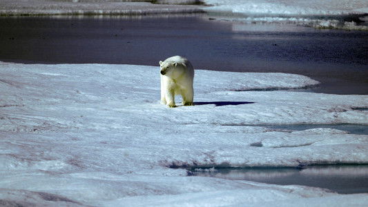La Fonte des frontières