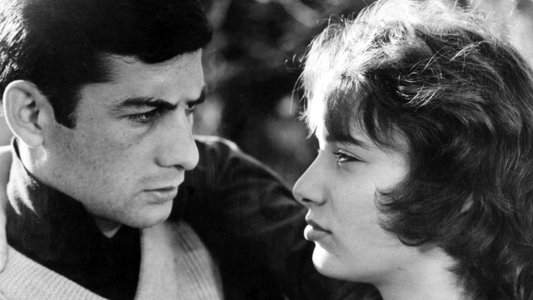 Le beau Serge