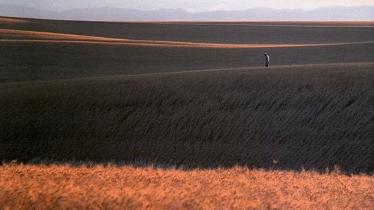 Days of Heaven