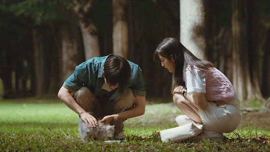 반짝이는 워터멜론