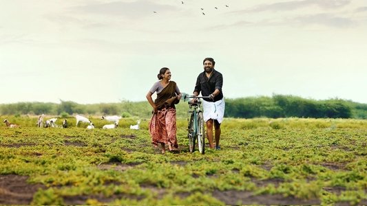 காரி