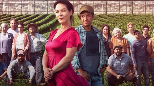 Le temps des framboises