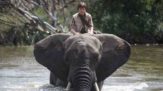 An Elephant's Journey