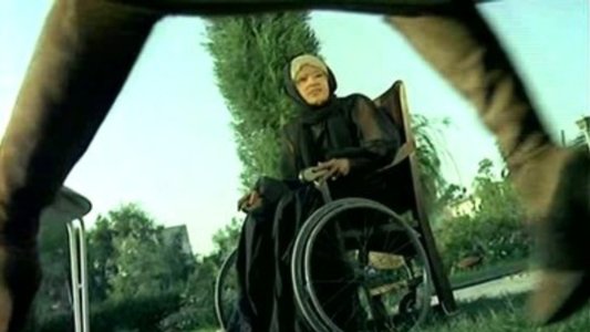 ذئاب لا تاكل اللحم‎