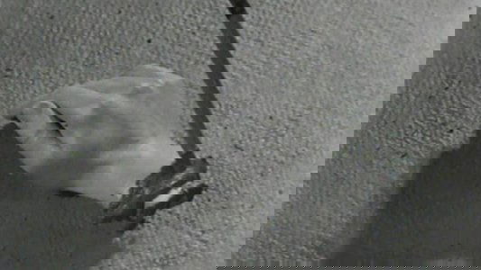 Un chien andalou