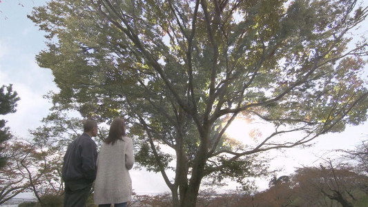 Tokeiya no Musume