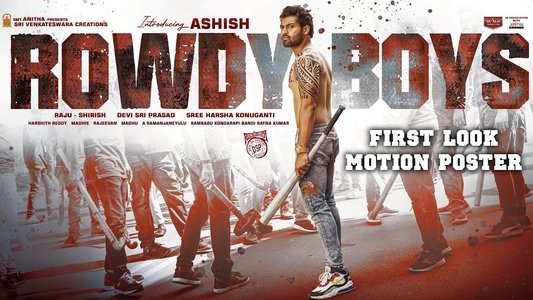రౌడీ బాయ్స్