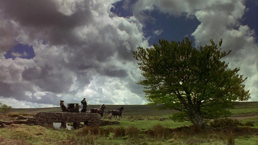 Sense and Sensibility